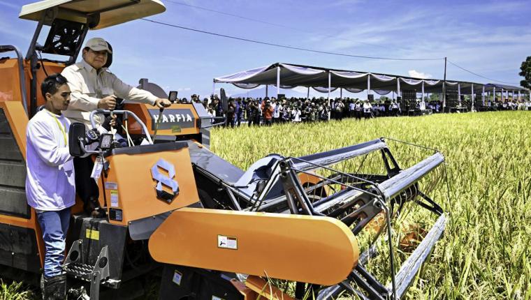 Prabowo Ikut Panen Raya di Majalengka, Tegaskan Komitmen Pemerintah Jaga Kedaulatan Pangan